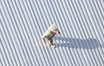 Patologias em telhas de aço galvanizado: recuperar ou substituir?