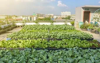 Como funciona a compostagem em telhados verdes de empreendimentos comerciais?