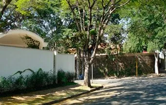 Por que as árvores são importantes nas cidades