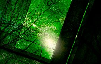 Em 15 anos de existência, o GBC Brasil certificou cerca de mil projetos