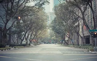 Formação de áreas verdes pode solucionar ilhas de calor nas cidades