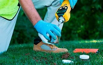 Investigação ambiental e remediação do solo são essenciais. Entenda