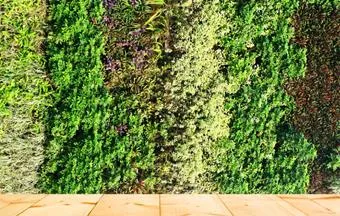 Jardins verticais exigem cuidados do projeto à manutenção. Veja dicas