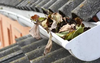 Manutenção e limpeza de calhas são fundamentais para evitar obstruções