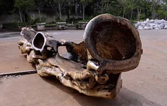 Mobiliário ecológico se espalha pelas ruas de SP