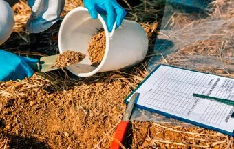 Conheça técnicas para remediação do solo e saiba escolher a mais adequada