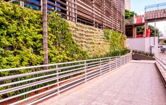 Jardins verticais em casa: alternativa em tempos de pandemia