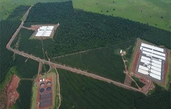 Lã de vidro resolve isolamento térmico de granja