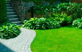 Como especificar os itens que compõem projetos de jardins?