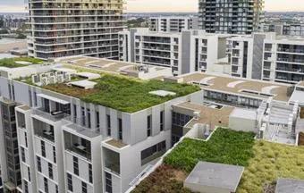 Como escolher a vegetação ideal para a construção de telhados verdes?