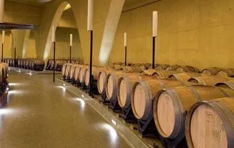 Concreto colorido reforça integração arquitetônica e cria diferenciação em adega