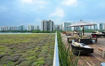 Telhado verde em shopping proporciona mais conforto e isolamento termoacústico