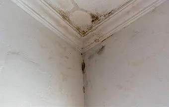 Patologias entre alvenaria e lajes de cobertura demandam atenção