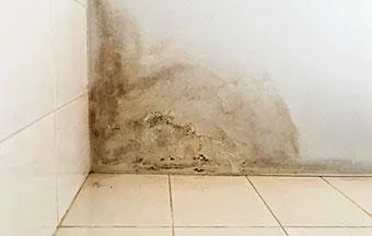 Impermeabilização, drenagem e instalações de proteção evitam umidade ascendente